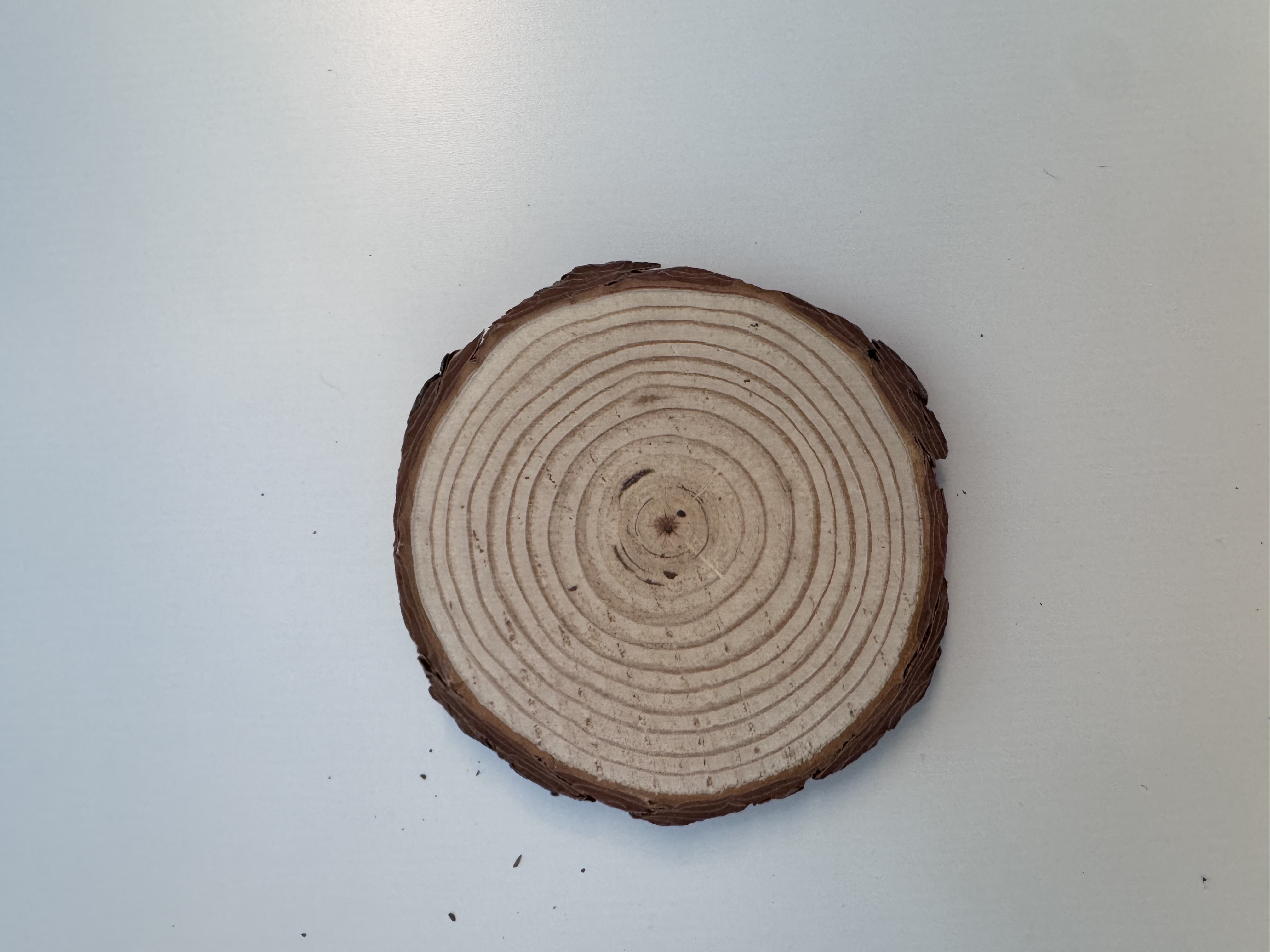 Wooden Coaster blank product preview